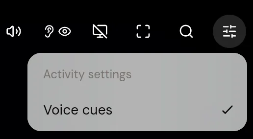 The sliders button open under the top bar, showing a menu titled Activity settings with Voice cues ticked.